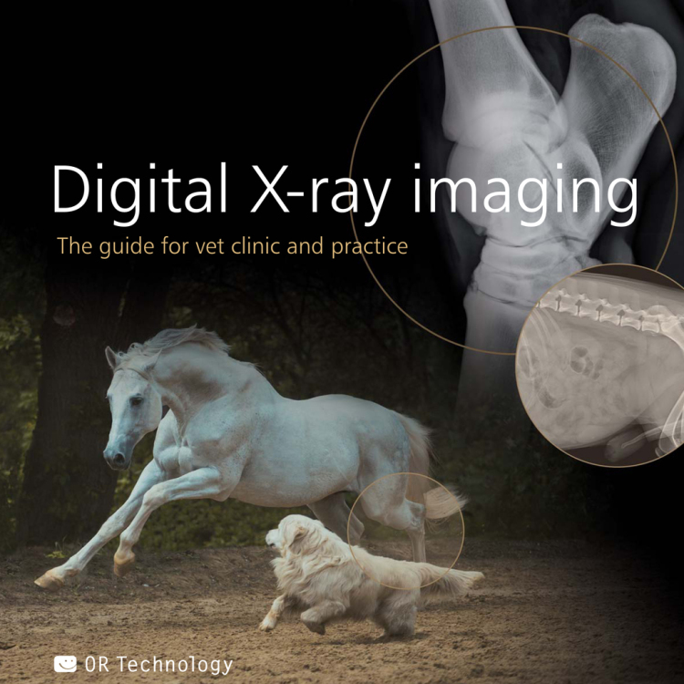 Radiografía digital veterinaria