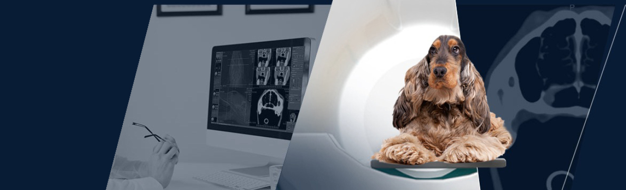 Software veterinaria